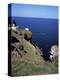 Lighthouse and Sea-Bird Cliffs, St. Abb's Head, Berwickshire, Borders, Scotland-Geoff Renner-Premier Image Canvas