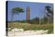 Lighthouse and Windswept Trees - Darsser Ort on the Darss Peninsula-Uwe Steffens-Premier Image Canvas