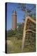 Lighthouse and Windswept Trees - Pines at the Darsser Ort Boat on the Darss Peninsula-Uwe Steffens-Premier Image Canvas