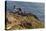 Lighthouse at Point Reyes National Seashore. California, USA-Chuck Haney-Premier Image Canvas