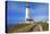 Lighthouse, Big Sur Coast, California-robert cicchetti-Premier Image Canvas