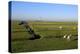 Lighthouse in the Wadden Sea National Park, Westerhever, Schleswig-Holstein, Germany, Europe-Hans-Peter Merten-Premier Image Canvas