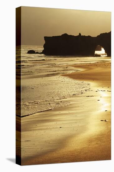 Lighthouse State Beach, Santa Cruz, California, United States of America, North America-Richard Cummins-Premier Image Canvas