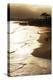 Lighthouse State Beach, Santa Cruz, California, United States of America, North America-Richard Cummins-Premier Image Canvas