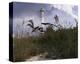 Lighthouse Terns I-Steve Hunziker-Stretched Canvas