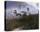 Lighthouse Terns I-Steve Hunziker-Stretched Canvas