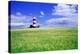 Lighthouse-Victor De Schwanberg-Premier Image Canvas