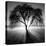 Lighting Tree-Moises Levy-Premier Image Canvas