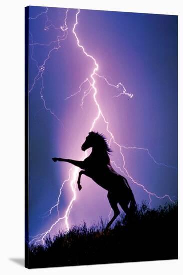 Lightning and Silhouette of a Horse-null-Stretched Canvas