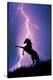 Lightning and Silhouette of a Horse-null-Stretched Canvas