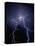 Lightning at Night-Jim Zuckerman-Premier Image Canvas