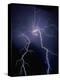 Lightning at Night-Jim Zuckerman-Premier Image Canvas
