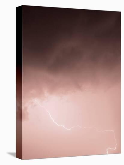 Lightning Pink-Design Fabrikken-Premier Image Canvas