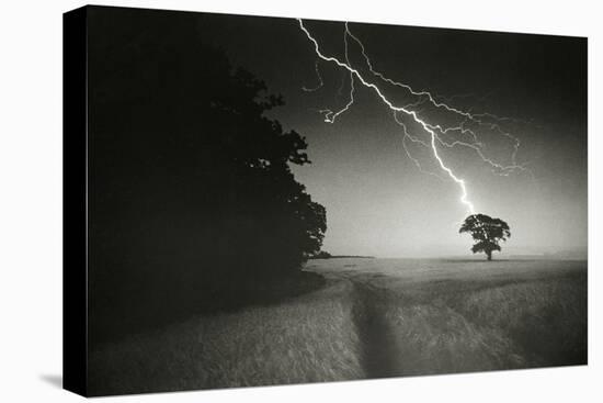Lightning Striking a Tree-null-Premier Image Canvas