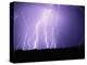 Lightning Striking the Ground-Warren Faidley-Premier Image Canvas