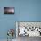 Lightning-Wayne Bradbury-Premier Image Canvas displayed on a wall