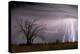 Lightning-Wayne Bradbury-Premier Image Canvas