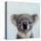 Lil Koala-Lucia Heffernan-Stretched Canvas