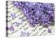 Lilac, Blossoms, Purple, Violet, Spring-Andrea Haase-Premier Image Canvas