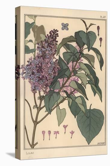 Lilac Botanical Study.-Eugene Grasset-Premier Image Canvas