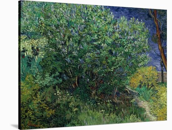 Lilac Bush, 1889-Vincent van Gogh-Premier Image Canvas