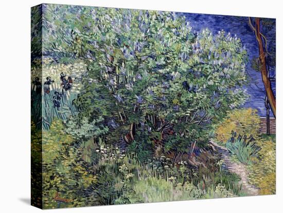 Lilac Bush, 1889-Vincent van Gogh-Premier Image Canvas