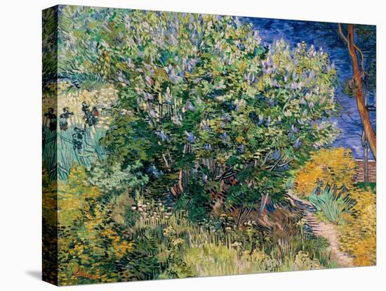 Lilac Bush-Vincent van Gogh-Premier Image Canvas