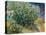 Lilac Bush-Vincent van Gogh-Premier Image Canvas