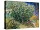 Lilac Bush-Vincent van Gogh-Premier Image Canvas