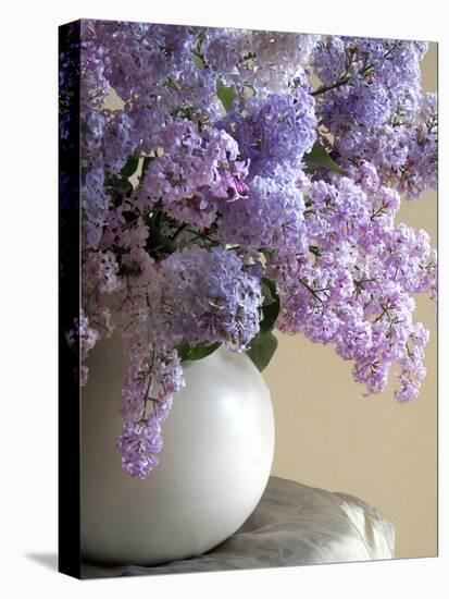 Lilac Flowers in Vase-Anna Miller-Premier Image Canvas