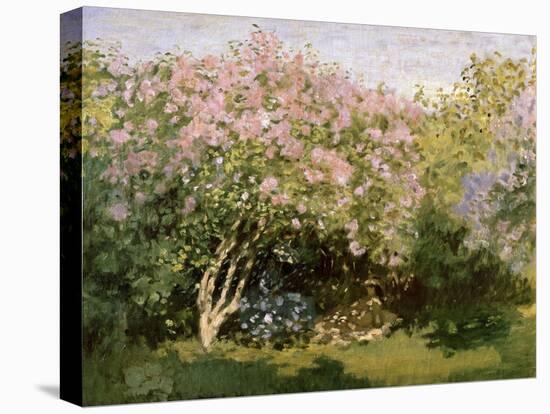 Lilac in the Sun, 1872-1873-Claude Monet-Premier Image Canvas