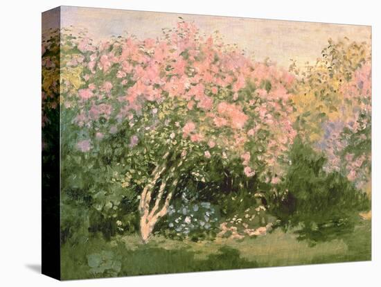 Lilac in the Sun, 1873-Claude Monet-Premier Image Canvas