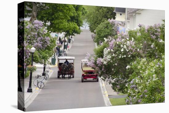 Lilac Lined Street with Horse Carriage, Mackinac Island, Michigan, USA-Cindy Miller Hopkins-Premier Image Canvas