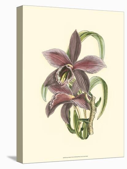 Lilac Orchid I-null-Stretched Canvas