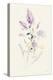 Lilac Season II Pastel-Danhui Nai-Stretched Canvas