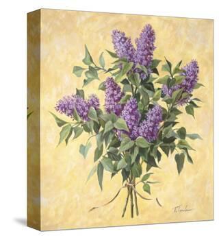 Lilac Season II-Telander-Stretched Canvas