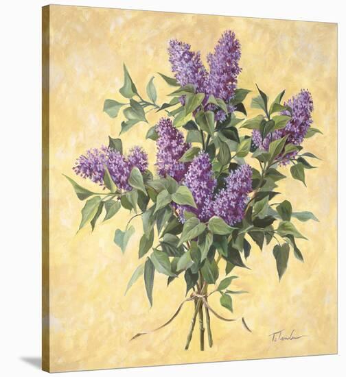 Lilac Season II-Todd Telander-Stretched Canvas