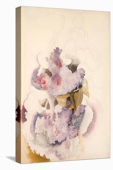 Lilacs, C.1917 (W/C on Paper)-Charles Demuth-Premier Image Canvas