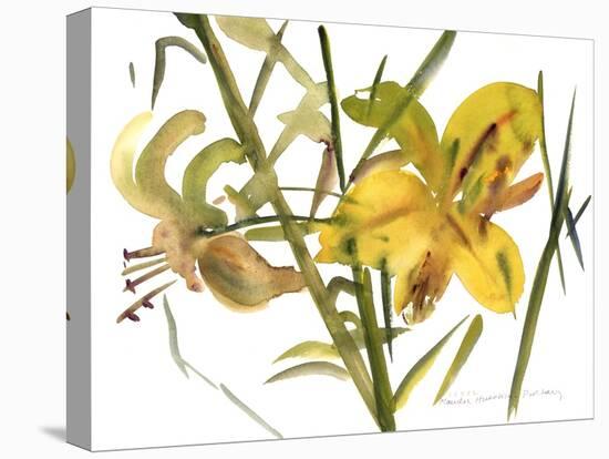 Lilies, 1987-Claudia Hutchins-Puechavy-Premier Image Canvas