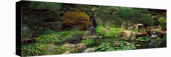 Lilies in a Pond at Japanese Garden, University of California, Los Angeles, California, USA-null-Stretched Canvas