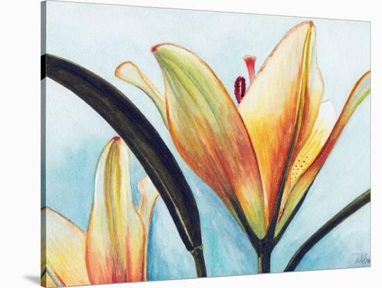 Lilies-Jennifer Redstreake Geary-Stretched Canvas