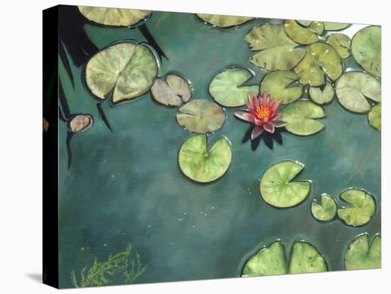 Lilies-David Stribbling-Stretched Canvas