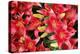 Lillies Anyone-Herb Dickinson-Premier Image Canvas