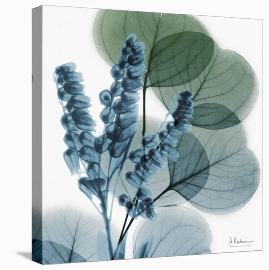 Lilly of Eucalyptus-Albert Koetsier-Stretched Canvas