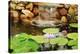Lilly Pond-Jan Michael Ringlever-Stretched Canvas