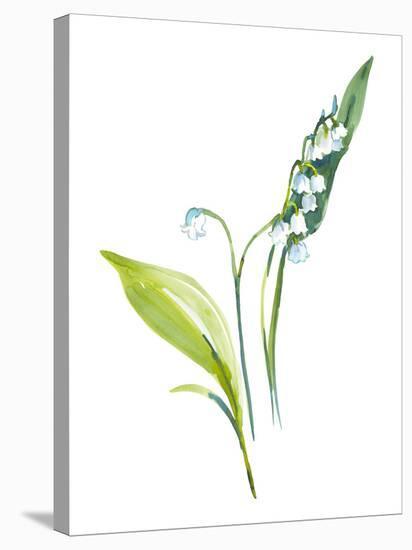 Lily of the Valley I-Sandra Jacobs-Stretched Canvas