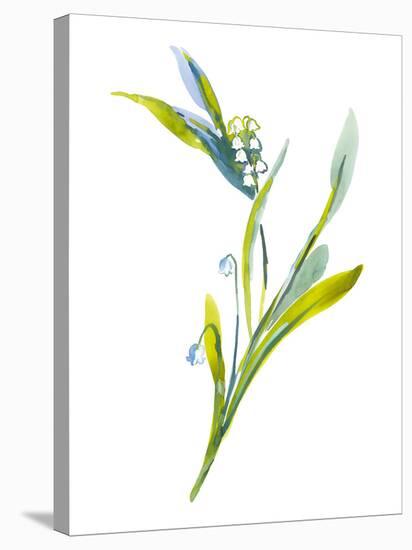 Lily of the Valley II-Sandra Jacobs-Stretched Canvas