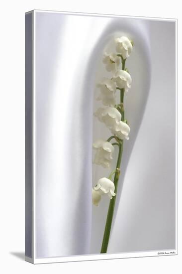 Lily of the Valley-Anna Miller-Premier Image Canvas