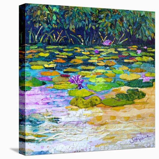Lily Pad Pond-Elizabeth St. Hilaire-Stretched Canvas