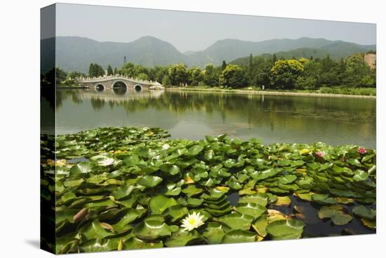 Lily Pads and a Arched Stone Bridge in Beijing Botanical Gardens, Beijing, China, Asia-Christian Kober-Premier Image Canvas